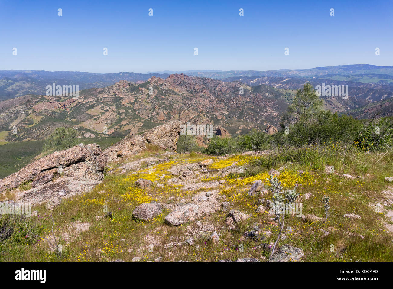 Vue vers les hauts sommets ; floraison de fleurs sauvages, Pinnacles National Park, Californie Banque D'Images