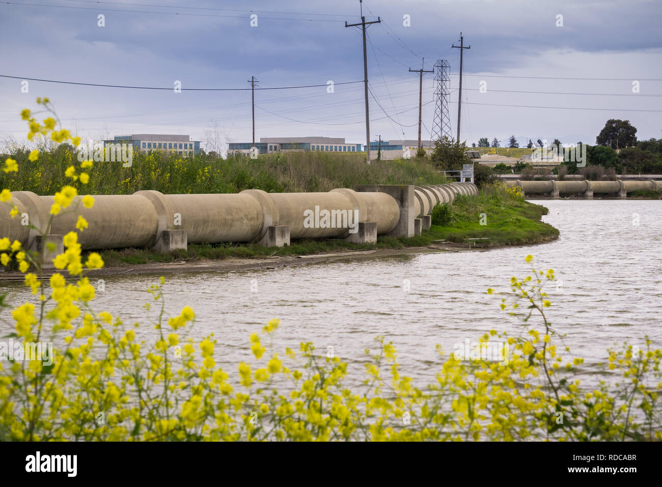 Les tuyaux en ciment, près de Sunnyvale Water Pollution Control Plant, San Francisco Bay Area, Sunnyvale, Californie Banque D'Images