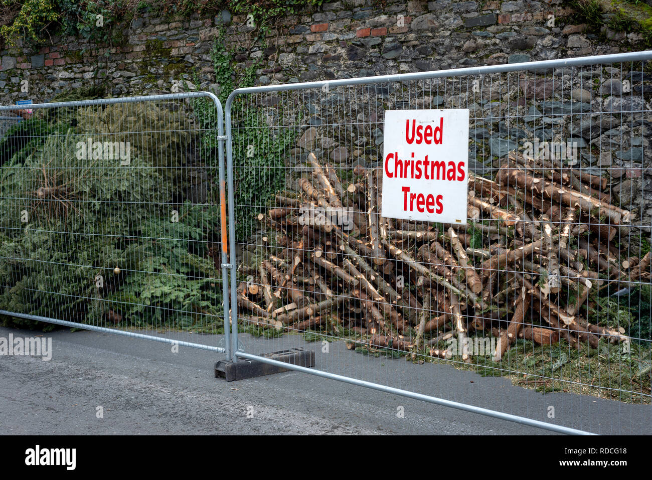 Utilisé site de recyclage des arbres de Noël à Killarney, comté de Kerry, Irlande Banque D'Images