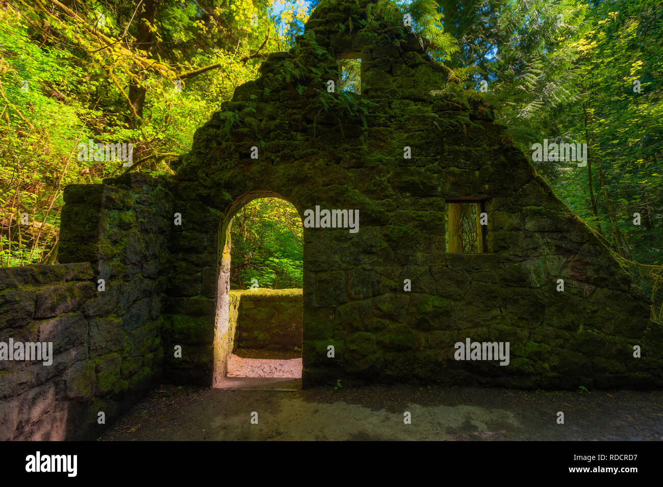 Randonnées dans le parc de la forêt à l'ouest du centre-ville de Portland Oregon ce abandonded structure en pierre a été construit en 1950 pour abriter les toilettes et pour la ranger station Banque D'Images