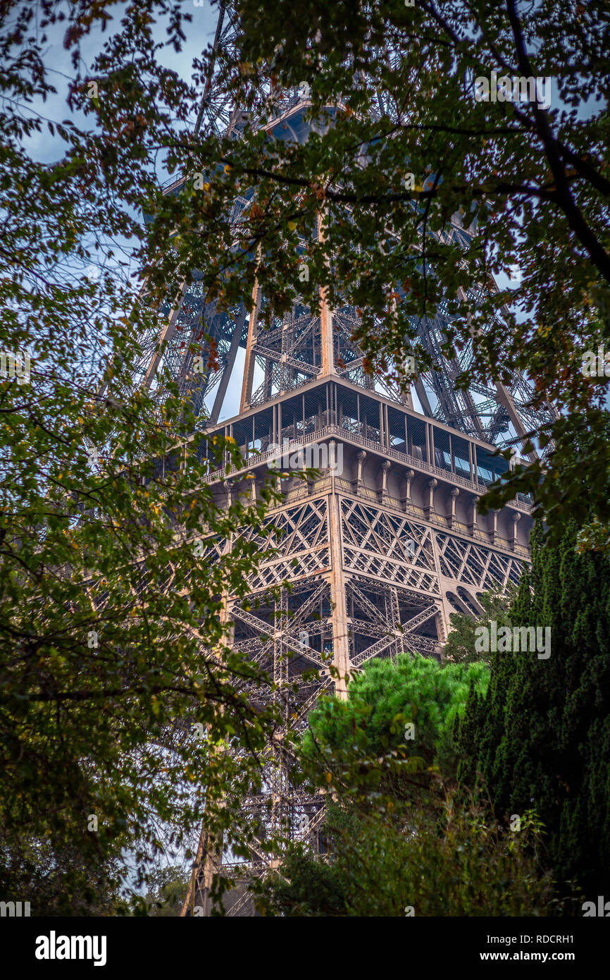 La Tour Eiffel à Paris, France vue à travers les arbres Banque D'Images