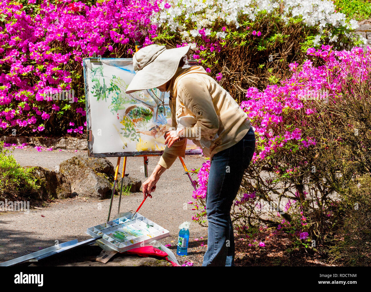 Portland, Oregon, USA - Le 29 avril 2014 : une dame artiste peint dans Crystal Spring Gardens, Portland, Oregon Banque D'Images