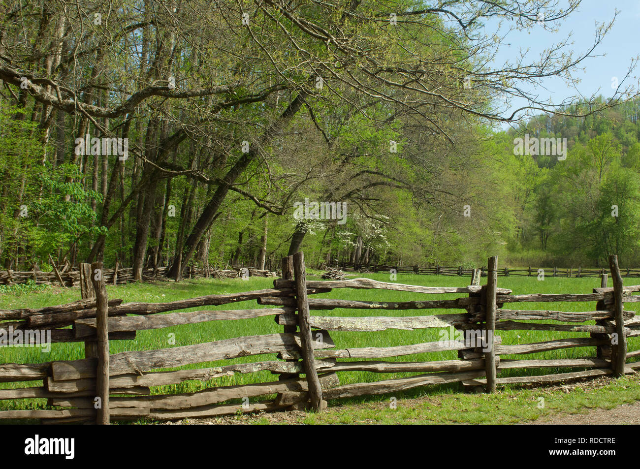 Clôture en lisse, Great Smoky Mountains National Park, frontière de NC et TN. Photographie numérique Banque D'Images