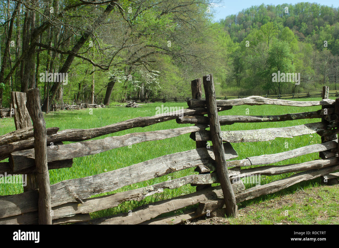 Clôture en lisse, Great Smoky Mountains National Park, frontière de NC et TN. Photographie numérique Banque D'Images