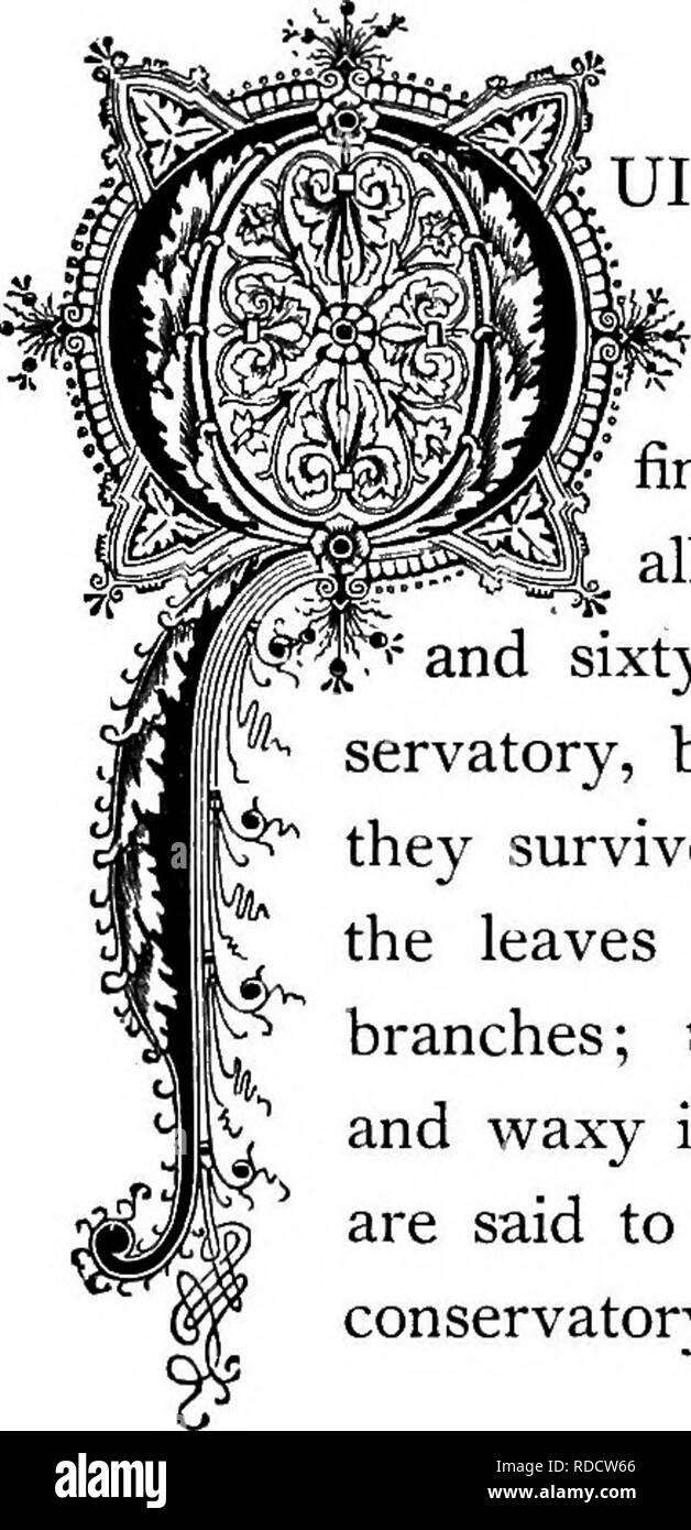 . Le Royaume floral : son histoire, le sentiment et la poésie : un dictionnaire de plus de 300 plantes, avec les genres et les familles auxquelles elles appartiennent, et la langue de chaque illustré avec les pierres précieuses à la poésie . Langage des fleurs ; les fleurs dans la littérature. l^ »»^^1 n. /H, le souffle du public, •^^ de courte durée et vain ! Gain souvent sans désert, comme souvent perdu immérités. -Harvard. -Howel. rv pignon, la déesse aveugle des insensés, foe ^^ au vertueux, et seul ami de personnes indignes. - Chapman. H E lov'd son genre, mais a cherché l'amour de peu ; et d'une valeur ancienne opini Banque D'Images