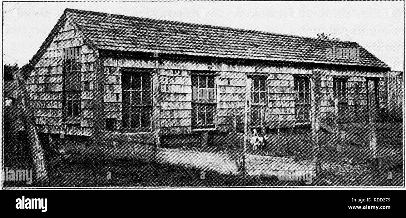 . Principes et pratiques de la culture de la volaille . La volaille. Ftc. 129. Chambre avec petit serré ! Windows ; la ventilation par les portes. Fig. 130. Maison serré avec de grandes fenêtres toujours légèrement ouverte en haut pour la ventilation il a été jugé préférable de construire des maisons serré et chaud. Pour accom- plish. Ce, diverses méthodes ont été utilisées. La construction la moins censés répondre à l'objectif a été faite en couvrant l'image de la maison de planches, et avec ces deux épaisseurs de papier de construction- ing, l'un extérieur résistant aux intempéries. Pour une protection plus efficace. Veuillez noter que ces images sont extraites de sca Banque D'Images