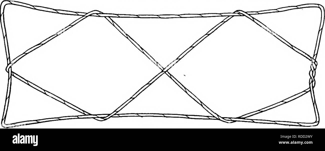 . Rapport de l'Expédition arctique canadienne 1913-1918. Des expéditions scientifiques. EsKimo String Figures 157 b passer les indices dans le pouce de l'extrémité distale des boucles de côté et avec leurs paln:s attirer par la chaîne transversal supérieur. Déposez le pouce de boucles. Vous avez "deux diamants," la production d'une croix dans le milieu.. Fig. 206 â CXXXVII. L'ours polaire Cette figure s'appelle ndnoq, "l'ours polaire," tout au long de la côte du golfe du Couronnement à Barrow. Boas a la même figure, avec le même nom, à partir de la côte ouest de la baie d'Hudson et de la baie Cumberland, l'île de Baffin ; et Kroeber trouvés e Banque D'Images