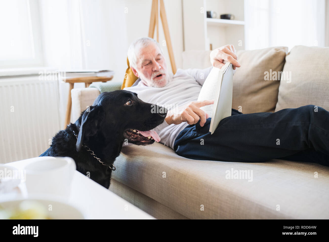 Une happy senior man sitting on a sofa à l'intérieur avec un chien de compagnie à la maison, lecture. Banque D'Images