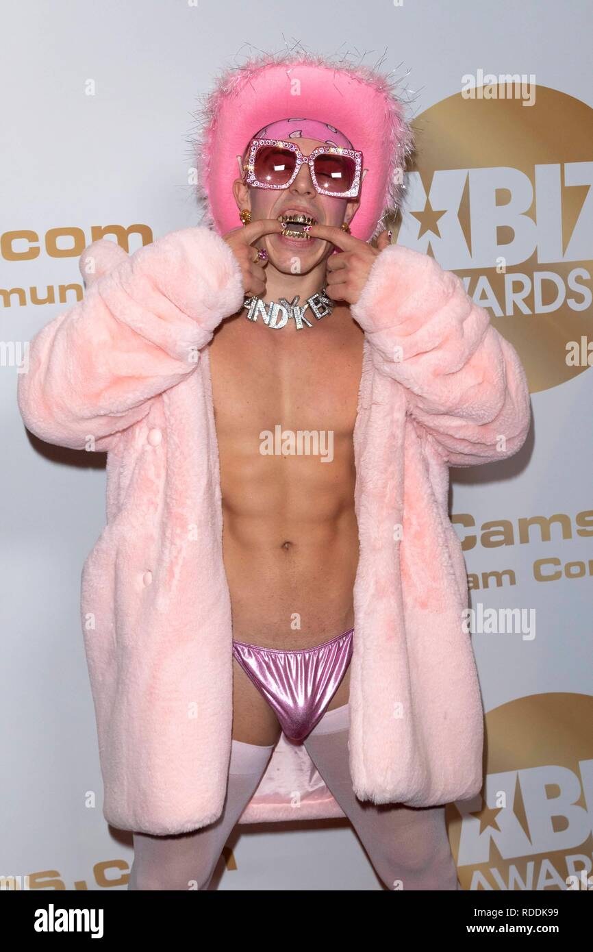 Acteur De Film Pour Adulte Acteur de films pour adultes Candy Ken assiste aux XBIZ Awards à l'hôtel  The Westin Bonaventure à Los Angeles, USA, le 17 janvier 2019. Dans le  monde d'utilisation | Photo Stock - Alamy
