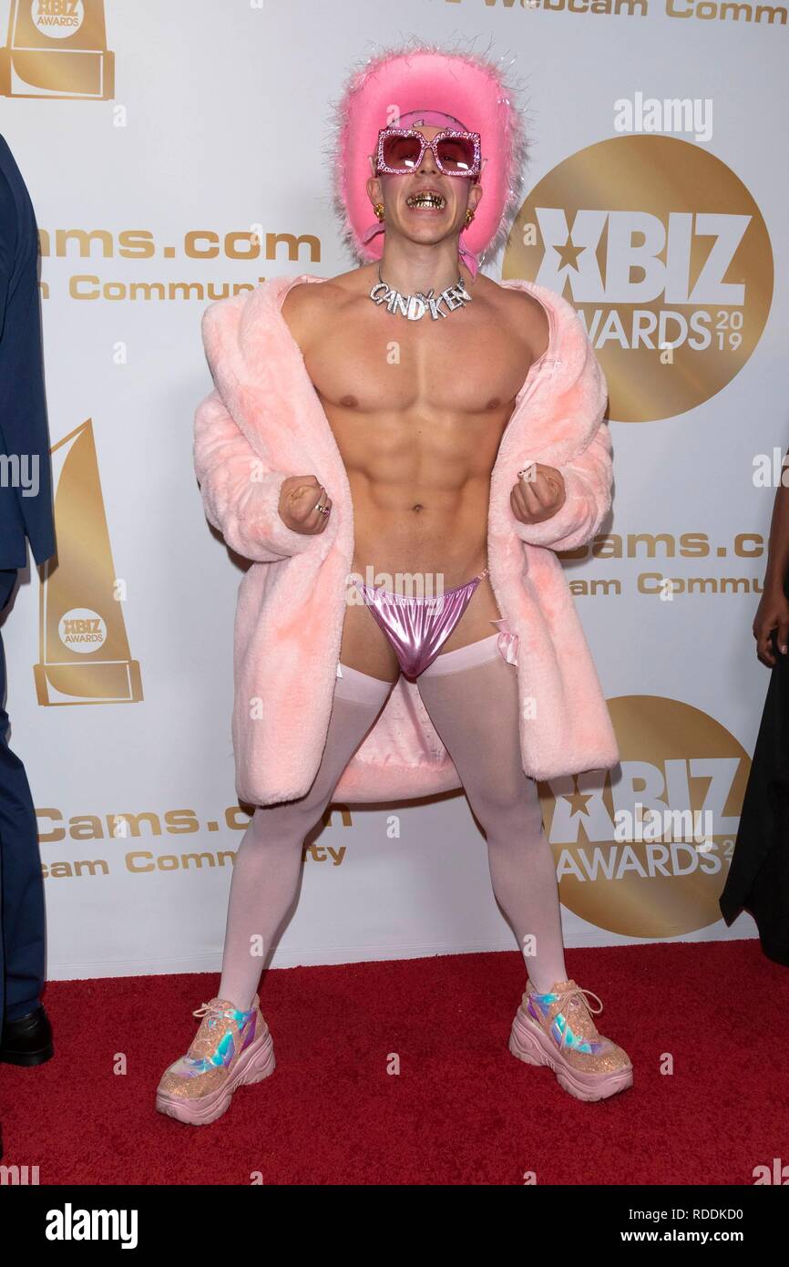 Acteur De Film Pour Adulte Acteur de films pour adultes Candy Ken assiste aux XBIZ Awards à l'hôtel  The Westin Bonaventure à Los Angeles, USA, le 17 janvier 2019. Dans le  monde d'utilisation | Photo Stock - Alamy