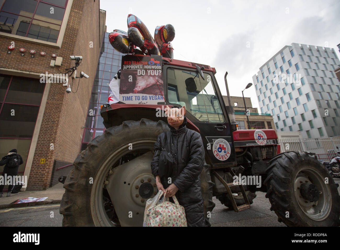 Londres, Royaume-Uni. 18 janvier 2019. Protestation des activistes végétaliens tracteurs rouges pratiques dans London crédit : George Cracknell Wright/Alamy Live News Banque D'Images