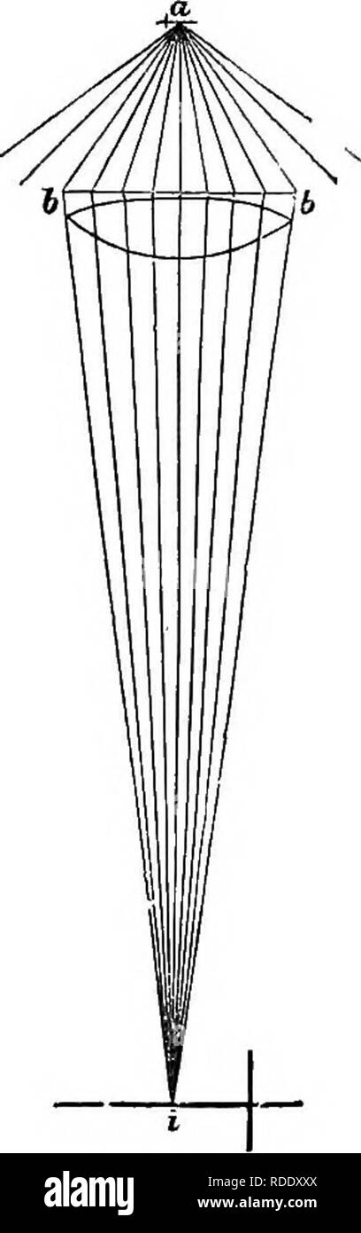 . Un traité pratique sur l'utilisation du microscope, y compris les différentes méthodes de préparation et d'examen animales, végétales, minérales et des structures. Microscopie Microscopes ;. Fig. 258. Fig. 259. La structure d'un objet visible, dépend de l'angle d'ouverture de son objet, et non pas sur son seul pouvoir grossissant. " Mais on peut supposer, peut-être, à partir de ce raisonnement, que si on lance une plus grande quantité de lumière sur un objet, de sorte qu'un plus grand nombre peuvent être recueillis par l'objet, nous serons mieux en mesure de définir sa structure, ce qui serait probablement le cas si l'un Banque D'Images