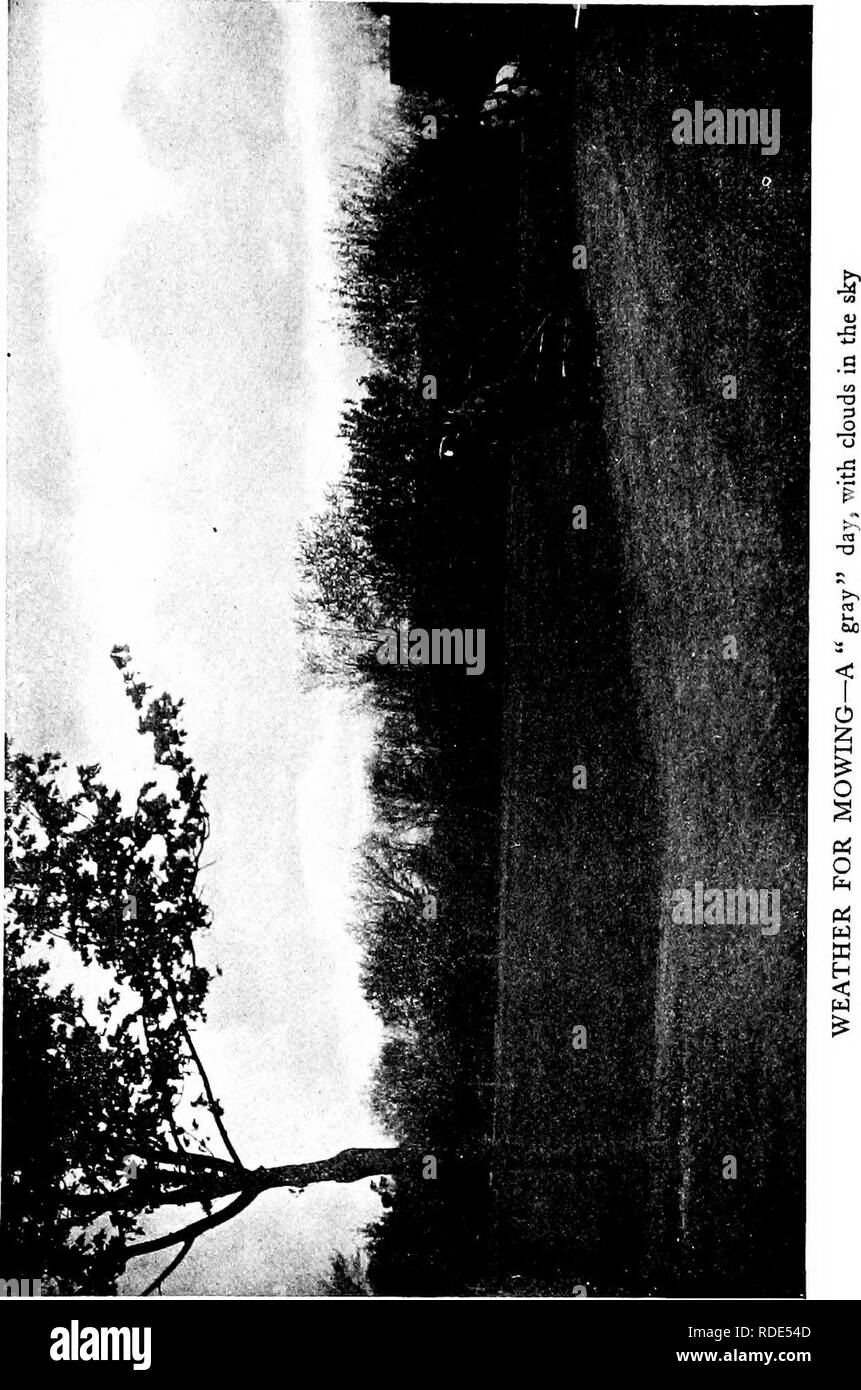 . Pelouses, et comment les faire : avec la tenue convenable de putting greens . Les pelouses. . Veuillez noter que ces images sont extraites de la page numérisée des images qui peuvent avoir été retouchées numériquement pour plus de lisibilité - coloration et l'aspect de ces illustrations ne peut pas parfaitement ressembler à l'œuvre originale.. Barron, Leonard, 1868-1938. Garden City, N. Y. : Doubleday, Page &AMP ; Co. Banque D'Images