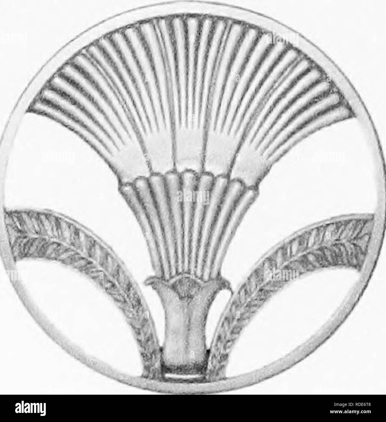 . Les principes de botanique, comme en témoigne l'Cryptogamia. Pour l'utilisation d'écoles et collèges. Les cryptogames ; anatomie végétale ; 1853. Albert Fl. Mann Libhary Universiti Cornell. (À partir de l 'actif de Bruce Voeller. Veuillez noter que ces images sont extraites de la page numérisée des images qui peuvent avoir été retouchées numériquement pour plus de lisibilité - coloration et l'aspect de ces illustrations ne peut pas parfaitement ressembler à l'œuvre originale.. Coultas, Harland, d. Grasset, 1877 ; B. Cloyd sgn. Philadelphie, Lindsay et Blakiston Banque D'Images