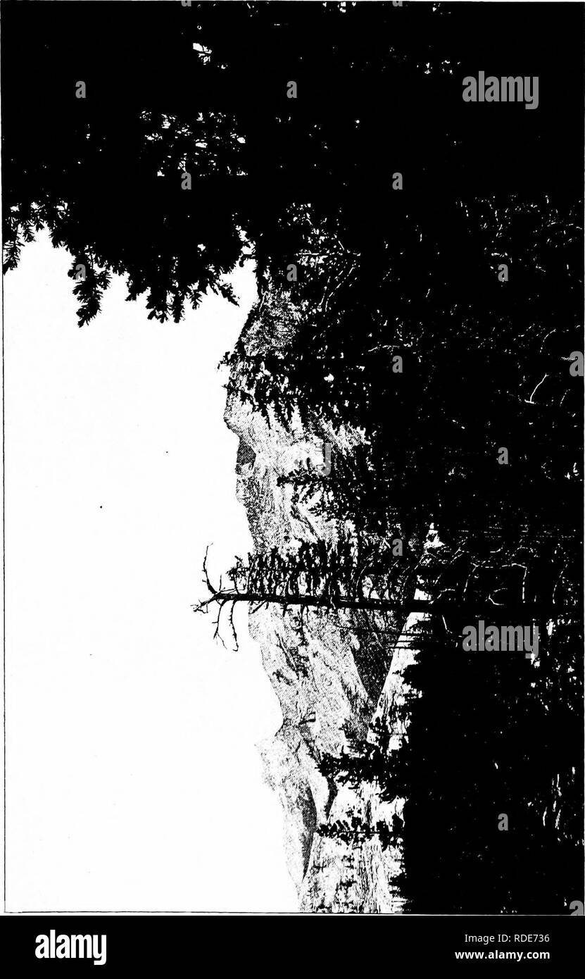 . La forêt et l'eau . L'approvisionnement en eau potable ; les forêts et la foresterie ; l'approvisionnement en eau potable ; les forêts et la foresterie. . Veuillez noter que ces images sont extraites de la page numérisée des images qui peuvent avoir été retouchées numériquement pour plus de lisibilité - coloration et l'aspect de ces illustrations ne peut pas parfaitement ressembler à l'œuvre originale.. Kinney, abbé, 1850-1920. Los Angeles : Poster Pub. Co. Banque D'Images . La forêt et l'eau . L'approvisionnement en eau potable ; les forêts et la foresterie ; l'approvisionnement en eau potable ; les forêts et la foresterie. . Veuillez noter que ces images sont extraites de la page numérisée des images qui peuvent avoir été retouchées numériquement pour plus de lisibilité - coloration et l'aspect de ces illustrations ne peut pas parfaitement ressembler à l'œuvre originale.. Kinney, abbé, 1850-1920. Los Angeles : Poster Pub. Co. Banque D'Images