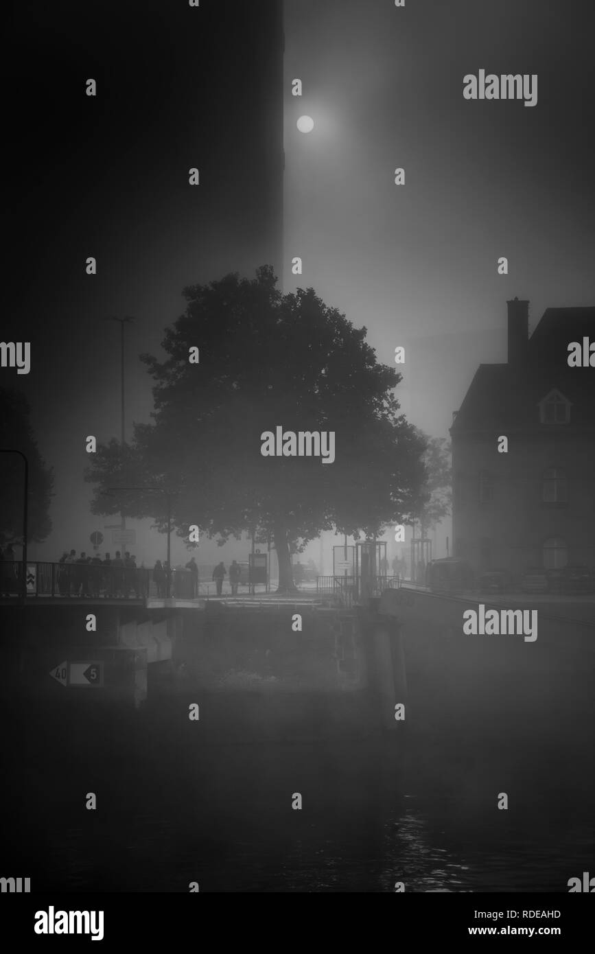 Deutschland, Hambourg, Elbe, Hafen, Speicherstadt, Hafencity, Nebel Banque D'Images