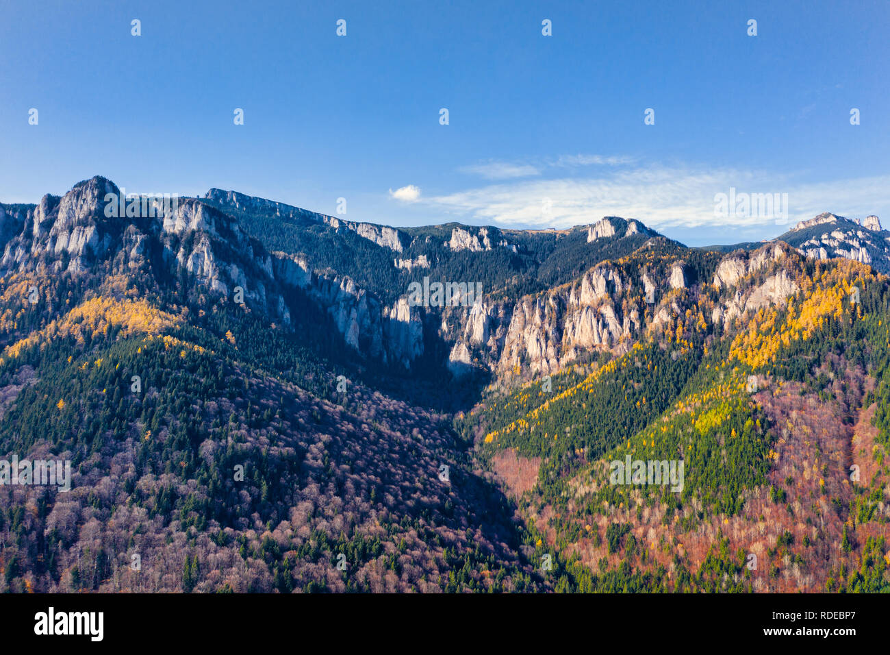 Vue d'un drone rocky mountain à l'automne, belle forêt de mélèzes jaune, dans la montagne Ceahlau Carpates. Banque D'Images