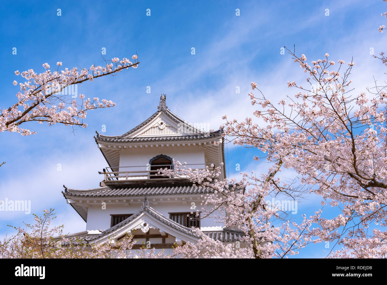 Le château de Shiroishi avec fleurs de cerisier et de ciel bleu Banque D'Images