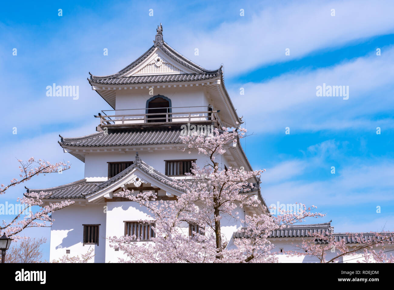 Le château de Shiroishi avec fleurs de cerisier et de ciel bleu Banque D'Images