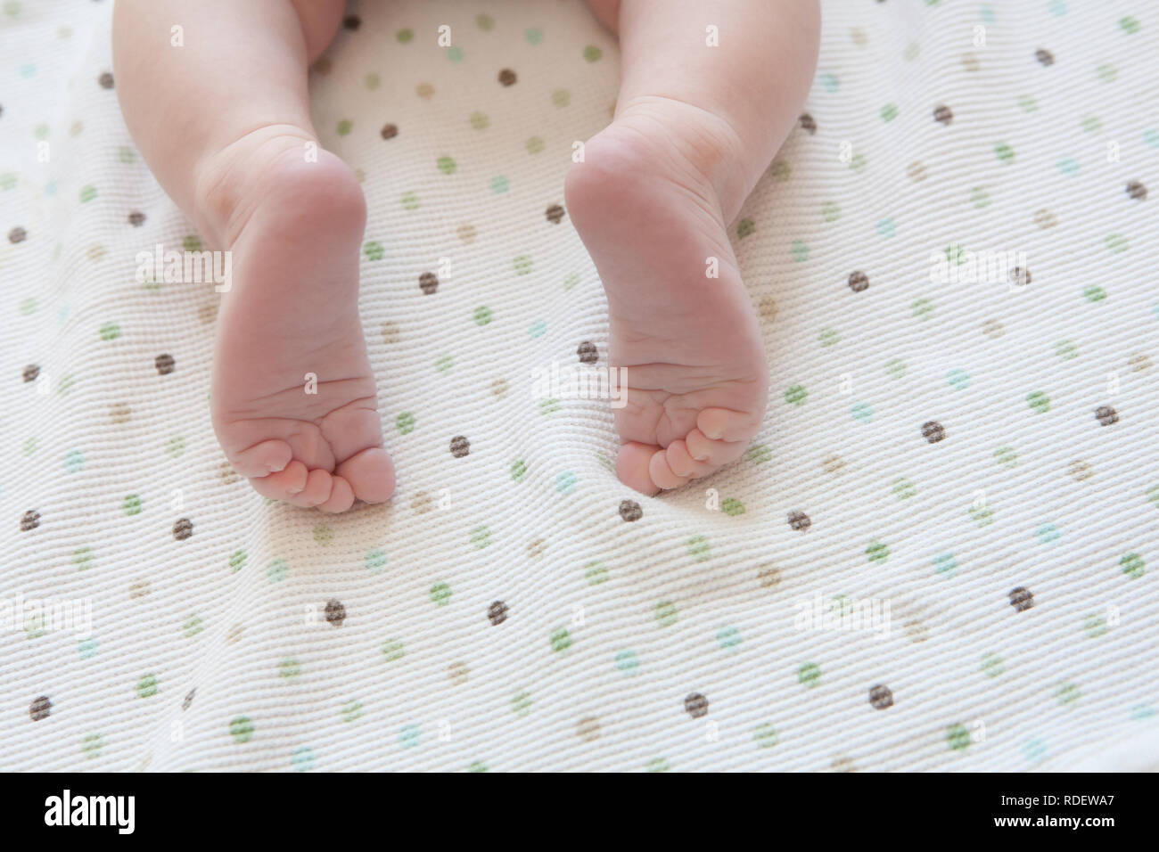 Pieds de bébé et orteils minuscules Banque D'Images