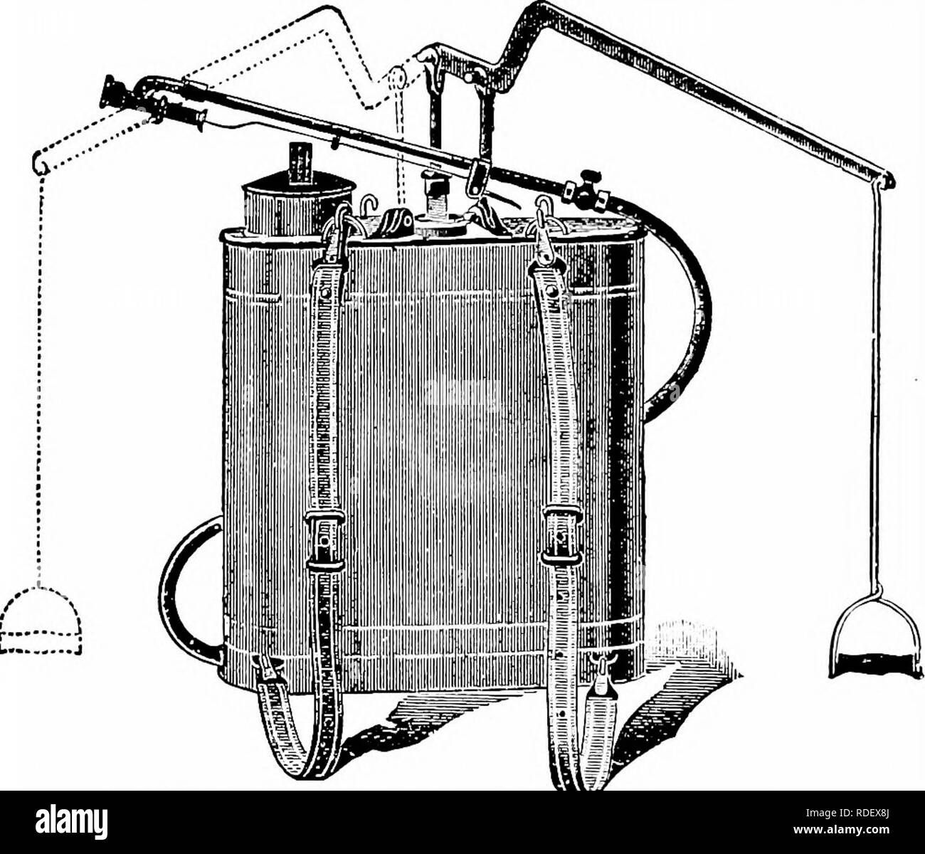 . Minnesota maladies des plantes. Les maladies des plantes. Minnesota 212 Maladies des Plantes. sans dommage à la plante hôte. Seuls les plus connus et bien établis des formules devront être considérés ici. Pour de- cerf de comptabilité de l'action sur des maladies particulières, la partie de ce travail devrait être consulté, comme aussi l'expé- ment gare bulletins de la Ministère de l'Agriculture. Un grand nombre des bulletins du ministère de l'Agriculture et de l'expérience de diverses stations ont été consultés dans l'établissement de ces formules. Ces peuvent servir à d'autres détails. La valeur de la pulvérisation en agr Banque D'Images
