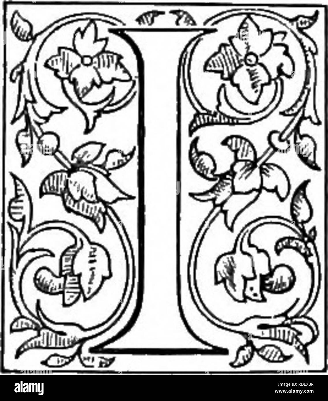 . Le livre de choix de fougères : pour le jardin, véranda, et cuisinière : décrire et donner des orientations culturelles explicites pour le meilleur et le plus frappant de fougères et selaginellas en culture. Illustrés par des plaques de couleur et de nombreuses gravures sur bois, préparés spécialement pour ce travail . Fougères ; Fougères. Chapitre XVL T^NITIS, Swartz. (Tten-i'-tis.) ou du ruban de fougères.. N Hooker et Baker's " Synopsis Filicum" Tcenitis (qui tire son nom d'tainia, un filet ou un ruban, en allusion aux folioles linéaires) forme une parjt Grammitidece de la tribu, en tant que genre 57. Il se compose uniquement de tr Banque D'Images