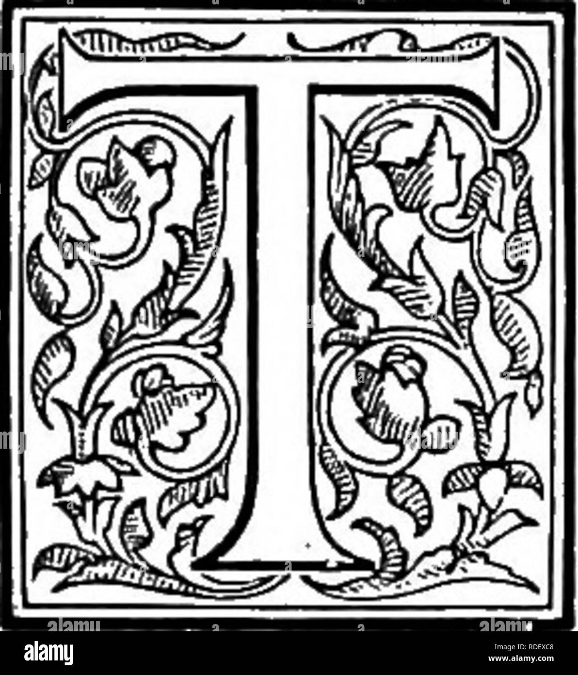 . Le livre de choix de fougères : pour le jardin, véranda, et cuisinière : décrire et donner des orientations culturelles explicites pour le meilleur et le plus frappant de fougères et selaginellas en culture. Illustrés par des plaques de couleur et de nombreuses gravures sur bois, préparés spécialement pour ce travail . Fougères ; Fougères. Chapitre XV. SPH^ROPTERIS, Wallich. (Sphaer-op'-ter-est.). Il nom de ce genre est dérivé de sphairo, un globe, et Pteris, une fougère, en allusion à la fructification étant couverts par un involucre globuleux. Sphceropteris est une division de la tribu en Dicksoniece, et Hooker et Baker's " Syno Banque D'Images