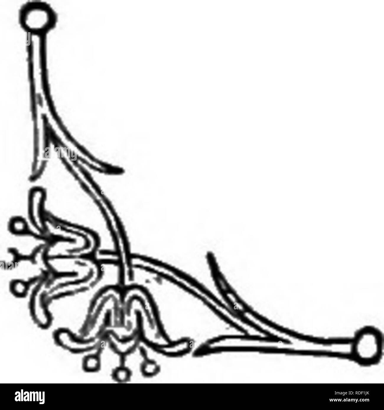 Le Langage Des Fleurs Ou Emblemes Floraux De Pensees De Sentiments Et Les Sentiments Langage Des Fleurs Moonwort La Memoire Et Son Nom De Philadelphus C Est A Dire L Amour Le Langage Des Fleurs Ou Emblemes Floraux De Pensees De Sentiments Et Les Sentiments Langage Des Fleurs Moonwort La Memoire Et Son Nom De Philadelphus C Est A Dire L Amour