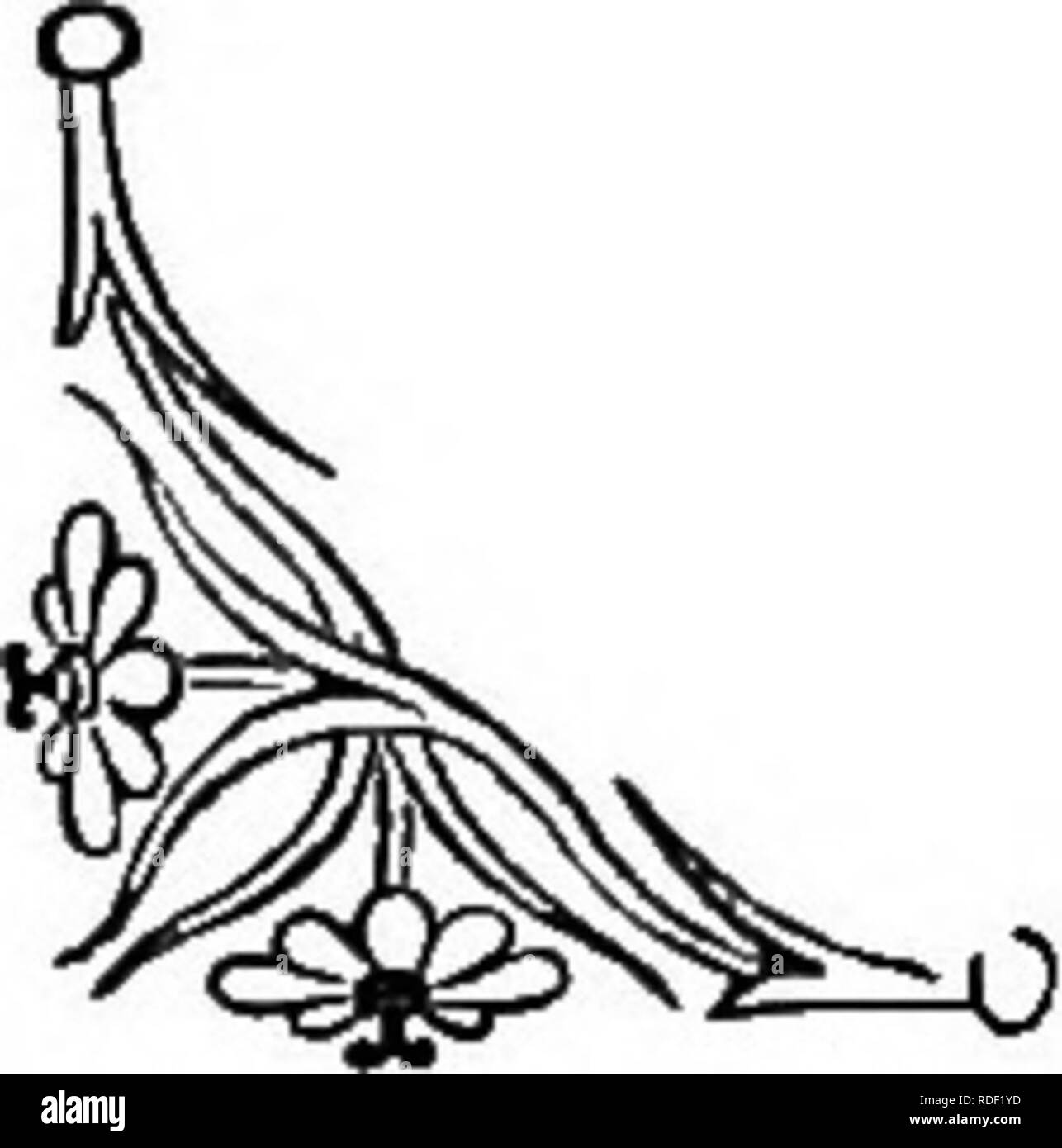 . Le langage des fleurs : ou emblèmes floraux, de pensées, de sentiments, et les sentiments ... Langage des fleurs. Lilas. sa verdure, la flexibilité de ses branches, l'abondance de ses fleurs, leur beauté si brève et transitoire, leur couleur si doux et variés, tous nous rappeler de ces émotions délicieuses, qui ajoutent à la beauté et au charme de la jeunesse donne de la grâce divine. Le lilas, pour quelque chose que nous pouvons voir en elle, semble avoir été créé simplement pour satisfaire les sens de la vue et l'odeur ! Ce qu'une combinaison d'un parfum, la fraîcheur, la grâce et la délicatesse, c'est ! Quelle variété dans le détail, ce que la beauté comme qui Banque D'Images