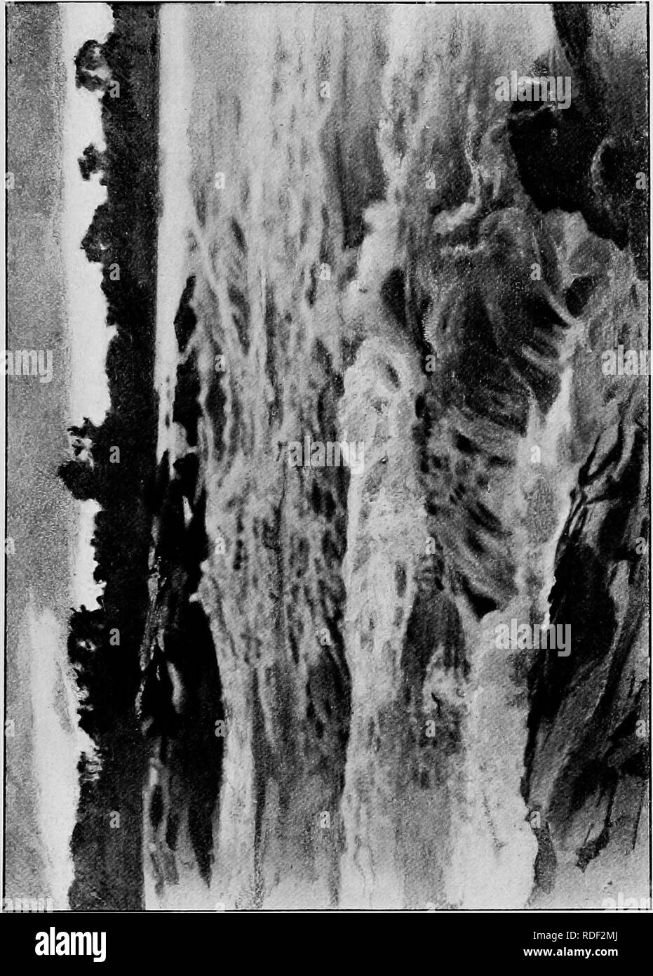 . Du Niger au Nil. Alexander-Gosling ; des oiseaux de l'expédition. Q J-J W. Veuillez noter que ces images sont extraites de la page numérisée des images qui peuvent avoir été retouchées numériquement pour plus de lisibilité - coloration et l'aspect de ces illustrations ne peut pas parfaitement ressembler à l'œuvre originale.. Alexander, Boyd, 1873-1910 ; Talbot, Percy Amaury, 1877-1945. Londres, E. Arnold Banque D'Images