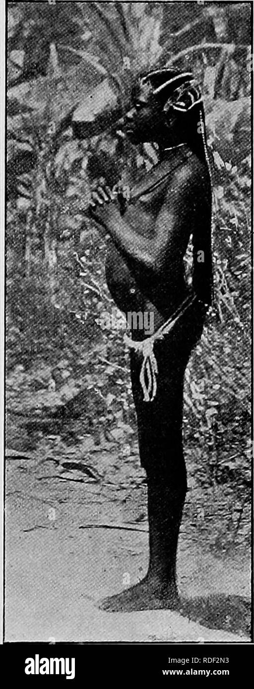 . Du Niger au Nil. Alexander-Gosling ; des oiseaux de l'expédition. Notre JOUENEY 247 L'Oubangui jusqu'à quatre mètres de chaque]^ rouge qui, en flanelle-les au revoir, est l'un des meilleurs produits du commerce qui peut être pris sur un ex- pedition de ce genre. Les garçons ont été dehghted » » avec elle, pour leurs vêtements étaient maintenant réduits à l'scantiest chiffons et les nuits et matins était soudainement devenu froid. C'était la fin des pluies dans cette région, la dernière étant tombé le 15 décembre ; puis suivie des brouillards denses à l'aube, avec le thermomètre entre 59° et 60°. Lorsque le jour de Noël est arrivé notre Banque D'Images