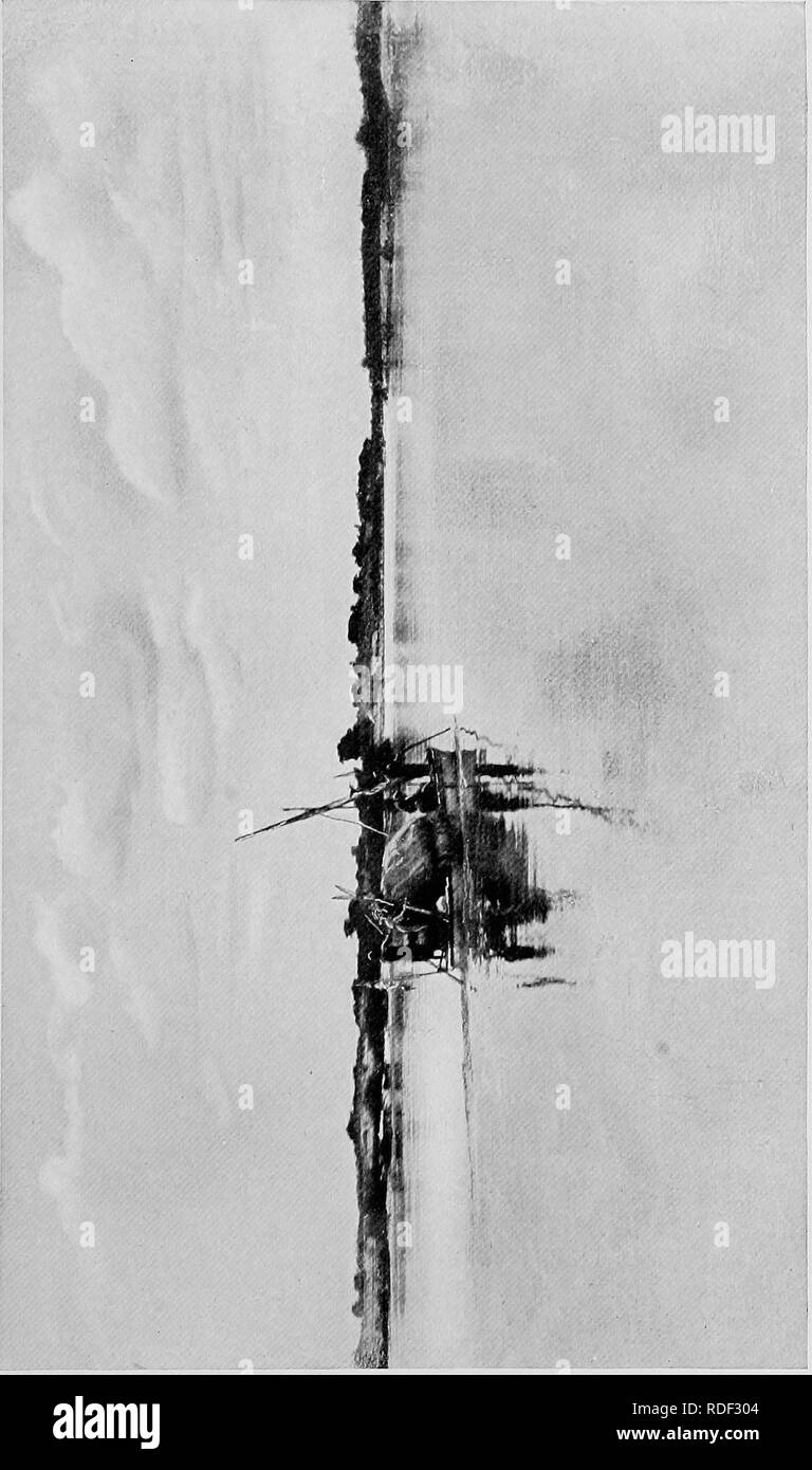 . Du Niger au Nil. Alexander-Gosling ; des oiseaux de l'expédition. &Lt ; w H a o o CO. Veuillez noter que ces images sont extraites de la page numérisée des images qui peuvent avoir été retouchées numériquement pour plus de lisibilité - coloration et l'aspect de ces illustrations ne peut pas parfaitement ressembler à l'œuvre originale.. Alexander, Boyd, 1873-1910 ; Talbot, Percy Amaury, 1877-1945. Londres, E. Arnold Banque D'Images