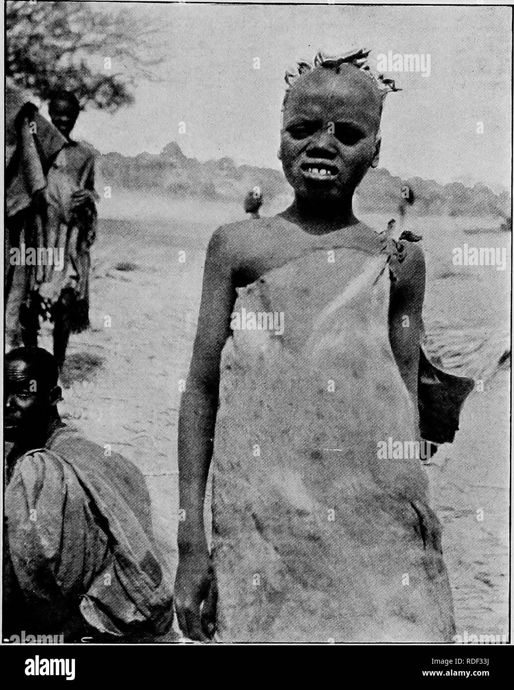 . Du Niger au Nil. Alexander-Gosling ; des oiseaux de l'expédition. Le SHARI À GULFEI 119 cap. Les femmes portent leurs cheveux tressés finement les côtes qui donne l'apparence de l'usure des coussinets de chaque côté. KOTOKO BOY de la tête. Les marques tribales de l'Kotokos sont trois coupes verticales en bas du centre du front et trois sur les deux joues. Ils sont un peuple industrieux ; tissu de décisions et de teinture, la pêche et l'agriculture occupent leur temps. Leur. Veuillez noter que ces images sont extraites de la page numérisée des images qui peuvent avoir été retouchées numériquement pour plus de lisibilité - coloration et appearan Banque D'Images