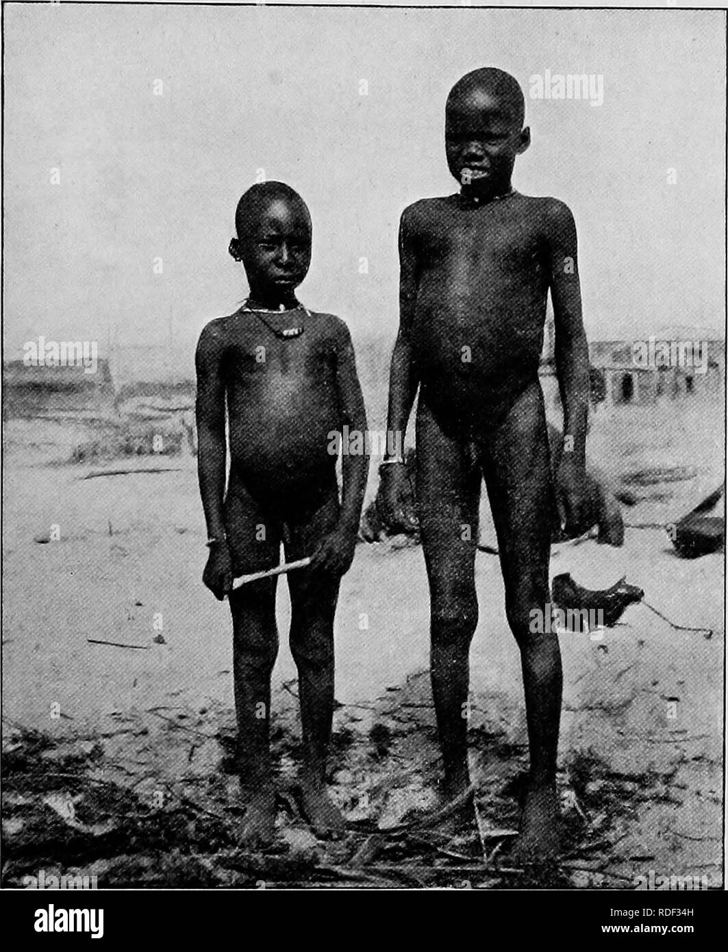 . Du Niger au Nil. Alexander-Gosling ; des oiseaux de l'expédition. La SHAEI GULFBI JUSQU'À 109 d'autres particularités, comme leur grande taille, apparaissent élégant et timidité, leur faible densité de villages et petites. BtJDUMA LES GARÇONS nombre de femmes (pour personne d'autre que le Kachellas- tête et les hommes ont des femmes) depuis, j'ai demandé si ce n'est pas en raison d'une coutume pratiquée pour l'économie de hfe sur les îles. Cette idée est encore renforcée par la raison donnée pour le laiton httle crescent dont bon nombre de chefs de l'usure dans une oreille, pour l'on m'a dit qu'il a été inséré dans l'enfance pour marquer l'heureux sur Banque D'Images