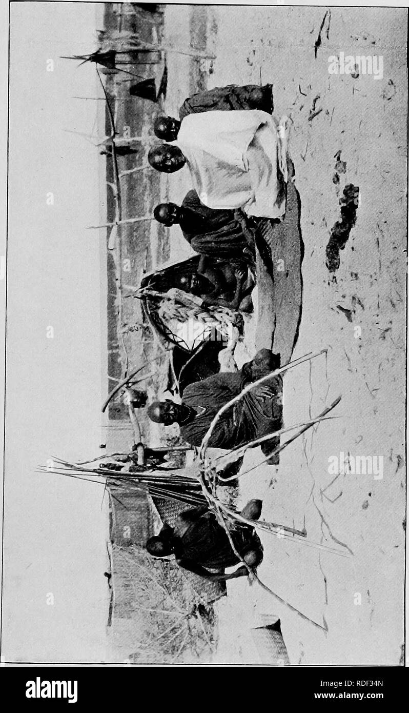 . Du Niger au Nil. Alexander-Gosling ; des oiseaux de l'expédition. Q. Veuillez noter que ces images sont extraites de la page numérisée des images qui peuvent avoir été retouchées numériquement pour plus de lisibilité - coloration et l'aspect de ces illustrations ne peut pas parfaitement ressembler à l'œuvre originale.. Alexander, Boyd, 1873-1910 ; Talbot, Percy Amaury, 1877-1945. Londres, E. Arnold Banque D'Images