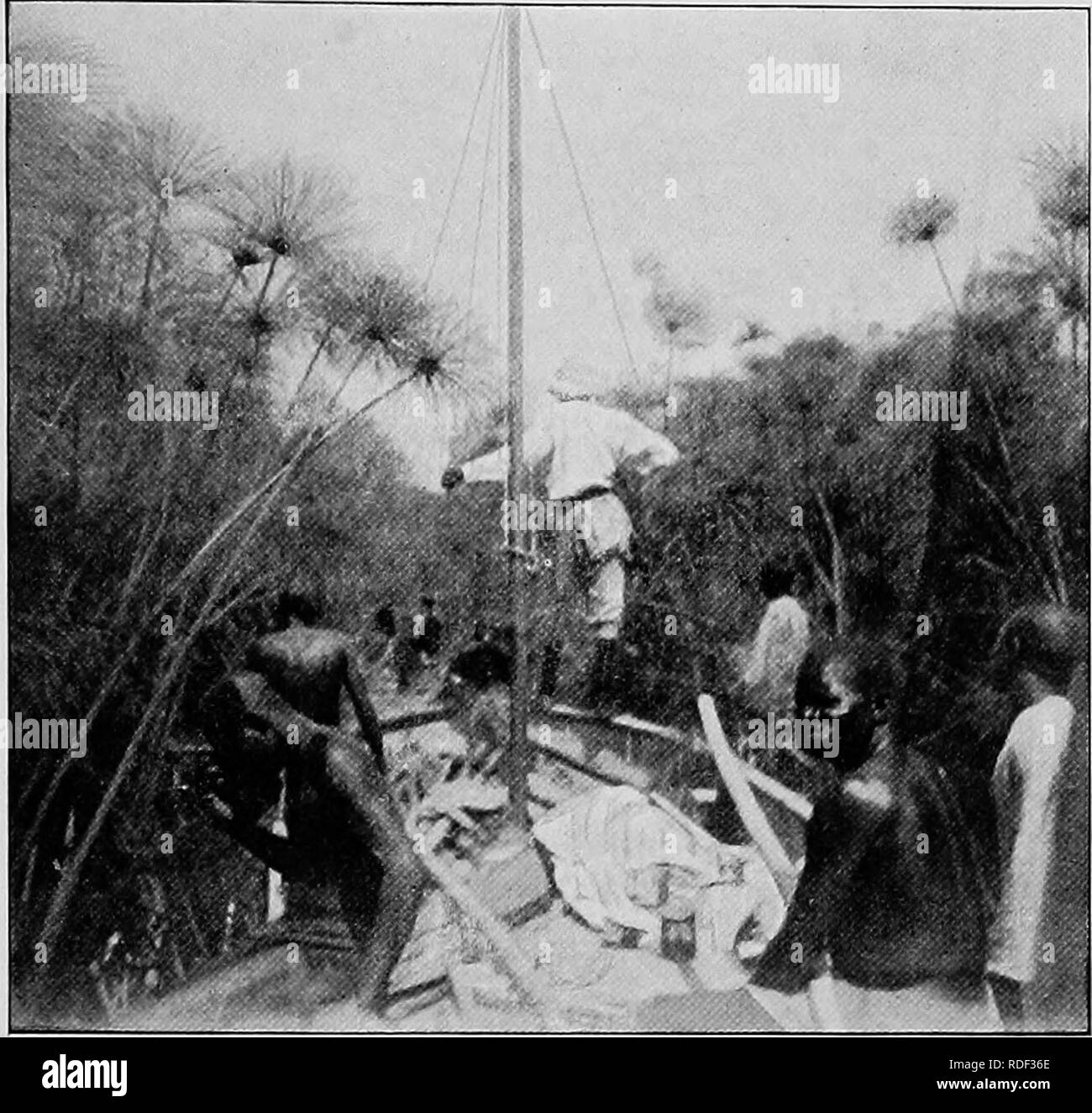 . Du Niger au Nil. Alexander-Gosling ; des oiseaux de l'expédition. Le PASSAGE DU LAC TCHAD 93 sans lien de dépendance des offrandes de poissons. Et puis il y eut une ruée autour des bateaux, toutes désireuses de se serrer la main avec moi, s'accrochant dans les mines le leur comme s'ils étaient désireux d'acquérir. Le THBOUGH COUPE mon amitié BEEDS. Ils n'étaient pas satisfaits jusqu'à ce qu'ils avaient serré la main avec tous les membres de l'équipage à son tour vers le bas au plus petit garçon. Après, ils sont retournés à leurs activités de pêche et d'ici peu nombreux canots sont à voir au volant sur la baie en forme d'éventail à leur formation de pêche, de fondre hke Banque D'Images