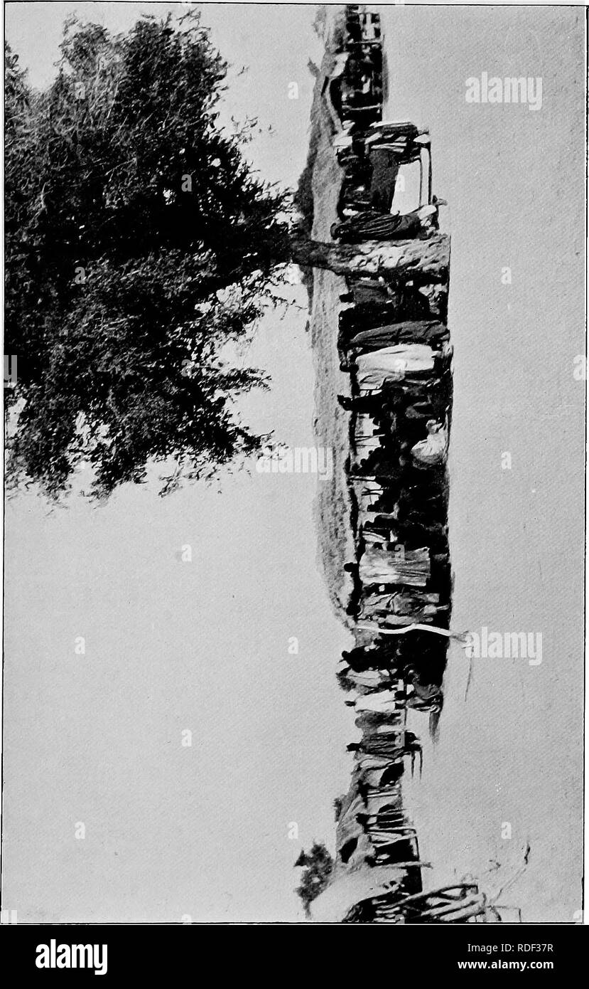 . Du Niger au Nil. Alexander-Gosling ; des oiseaux de l'expédition. H H. Veuillez noter que ces images sont extraites de la page numérisée des images qui peuvent avoir été retouchées numériquement pour plus de lisibilité - coloration et l'aspect de ces illustrations ne peut pas parfaitement ressembler à l'œuvre originale.. Alexander, Boyd, 1873-1910 ; Talbot, Percy Amaury, 1877-1945. Londres, E. Arnold Banque D'Images