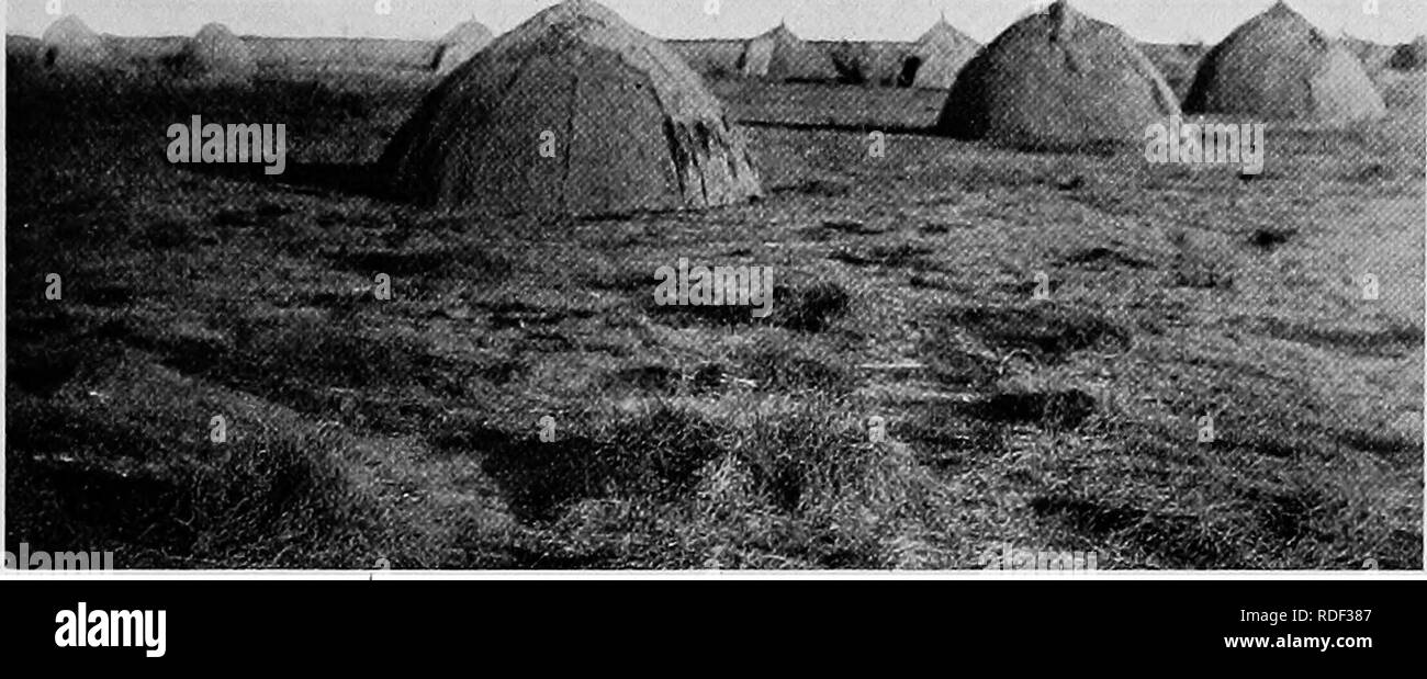 . Du Niger au Nil. Alexander-Gosling ; des oiseaux de l'expédition. Mon deuxième voyage SUR LE LAC 59 travail des îles, à travers de vastes baies délimité par de vastes marais salés de tous les côtés, toujours l'espoir de trouver une place d'atterrissage. Partout où l'eau semblait ofier un passage clair, nous avons fait. KAGEREBUM une tentative pour gagner la rive, faisant parfois un mille dans la bonne direction, mais seulement d'être obligé de retourner laborieusement sur nos pistes et essayez à nouveau et ne plus loin. Nos diffi- cultés ont été augmentés par l'harmattan qui soufflait très fort à cette saison et avait, sans doute, conduit l'eau vers l'ouest. Banque D'Images