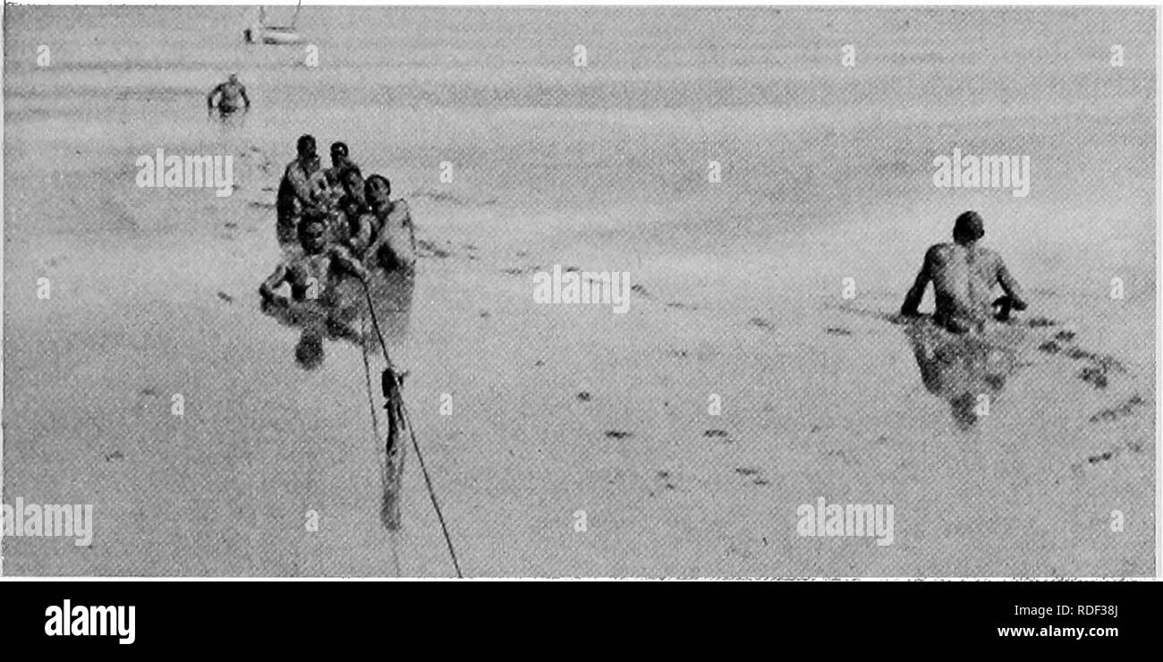 . Du Niger au Nil. Alexander-Gosling ; des oiseaux de l'expédition. Mon deuxième voyage SUR LE LAC 55 bien, à de constantes des mariages mixtes. La même cause sans doute l'origine de l'encéphalite à ressemblance remarquable whicli tous ceux que j'ai vu l'âme pour l'un de l'autre. Cette famille avec qui. Le transport de la VOILE DANS LA BOUE nous sommes venus à proximité était très pittoresque. Leur canot était beaucoup plus grande que n'importe quel j'avais vu avant et semble contenir tous leurs biens terrestres. Il y avait des ballots de filets, un pôle de rechange ou deux, plusieurs pots de cuisine noirci pour les poissons, ce qui était leur unique article de nourriture et d'un n Banque D'Images