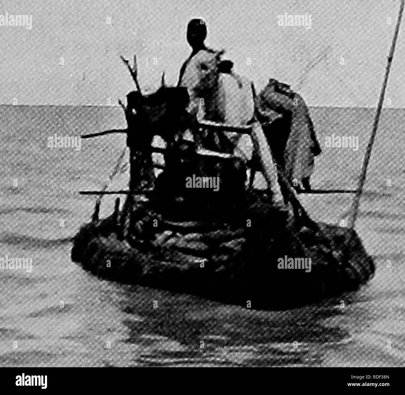 . Du Niger au Nil. Alexander-Gosling ; des oiseaux de l'expédition. Mon deuxième voyage SUR LE LAC sauvage et 53 ont été mis le feu à la réserve de roseaux dans l'espoir de tourner les Kke- rat. Peu après le vent surgirent et l'ensemble de l'île était enveloppé dans une feuille de flammes.. •Risr ETTDUMA CAKEYINO* MÉTHODE DE BÉTAIL DE L'AUTRE CÔTÉ DU LAC, c'était le signal pour un certain nombre de buses à venir sur la scène, et ils ont plané et rond comme un cercle si nous aider dans notre recherche. Mais aucune trace des voleurs pourraient être considérés jusqu'à tout à fait par hasard J'ai découvert leurs empreintes dans la boue à l'endroit où nous avions Banque D'Images