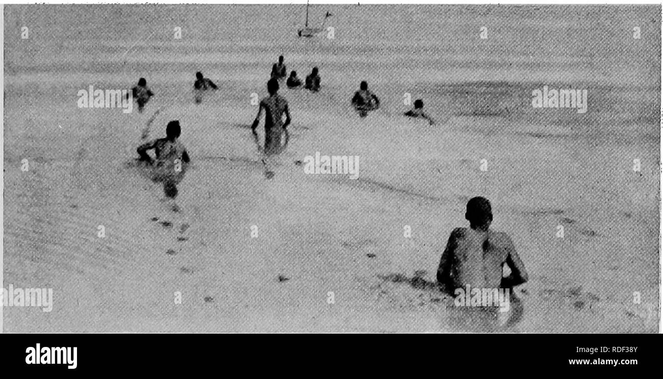 . Du Niger au Nil. Alexander-Gosling ; des oiseaux de l'expédition. Mon deuxième voyage SUR LE LAC 51 leurs pressentiments serait renvoyé. C'est alors qu'ils re- quis très attention de la manutention. Le moindre signe d'hésitation sur sa propre partie aurait commencé une mutinerie. Mais c'est. WADINQ THBOUGH LA BOUE À LA RECHERCHE D'EAU en montrant la bonté et la considération d'autres fois, que l'on obtient le plein effet de la fermeté sur les occasions. Lors d'un voyage en Afrique, le confort de la native devrait être étudié autant que ceux des hommes blancs. Unfor- tunately, il n'y a eu que trop d'exam Banque D'Images