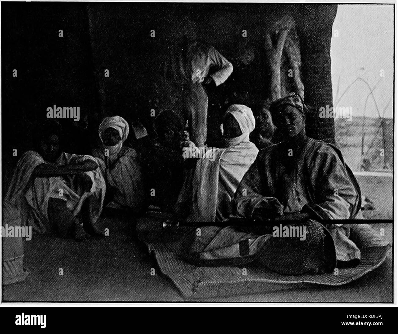 . Du Niger au Nil. Alexander-Gosling ; des oiseaux de l'expédition. Un COMBAT AVEC LE TUBE a bien essayé de me convaincre de faire une attaque de nuit. Mais, bien sûr, il était impossible pour moi de le faire pour des raisons similaires, et j'ai été obligé de refuser. Nous avons passé la nuit dans Bulturi,.. Le KACHELLA DE YO et lendemain matin avant qu'il était lumière fait des préparatifs d' sortir avec la caravane et revenir à yo. Alors notre petite armée a été assemblé pour la marche. C'était un magnifique spectacle de voir la flèche dans Kachella-proof coat, l'épaisseur- dont avait fait apparaître des proportions gigantesques, mont- re et son cheval Banque D'Images