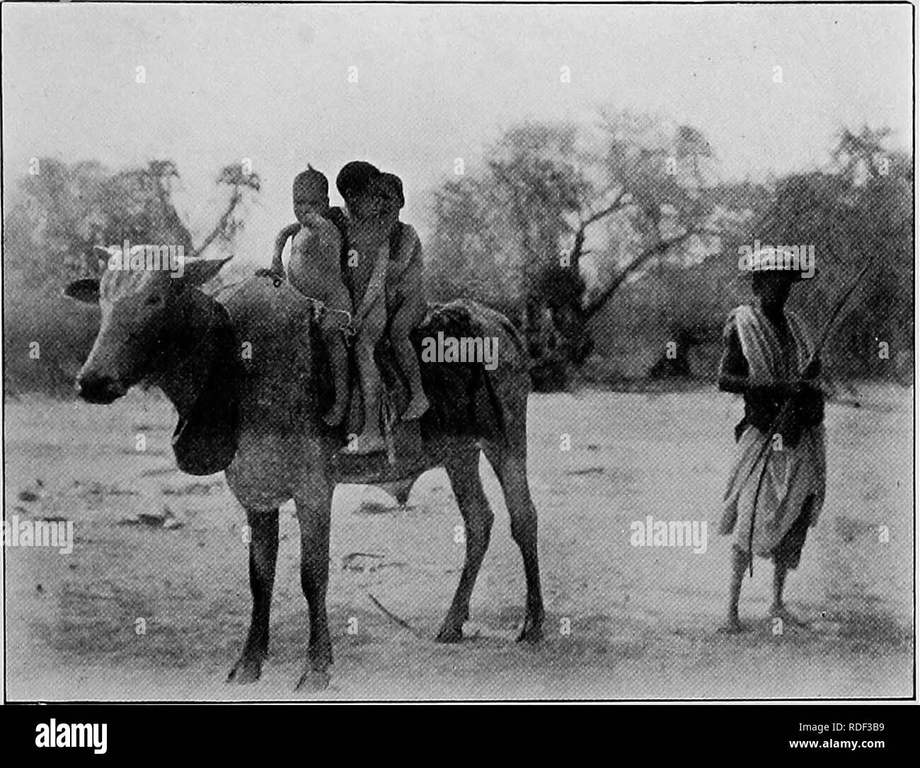 . Du Niger au Nil. Alexander-Gosling ; des oiseaux de l'expédition. Un COMBAT AVEC LE TUBE 5 ouvert pour le commerce avec les autochtones du pays. Ainsi, pour 1500 ans a ce fleuve de hfe, et très Hkely J'étais en train de regarder une photo c'est le cas de la. Les pèlerins SUR LA ROUTE DE LA MECQUE âge d'un même earher prophète de Mahomet, quand Moïse a conduit Israël hors d'Égypte. Notre propre et le gouvernement français ont pris conscience de la grande influence que la Mecque pohtical caravane a sur les territoires qu'elle traverse sur son voyage d'ouest en est, et très sagement qu'ils lui donner toute l'aide et la protection Banque D'Images