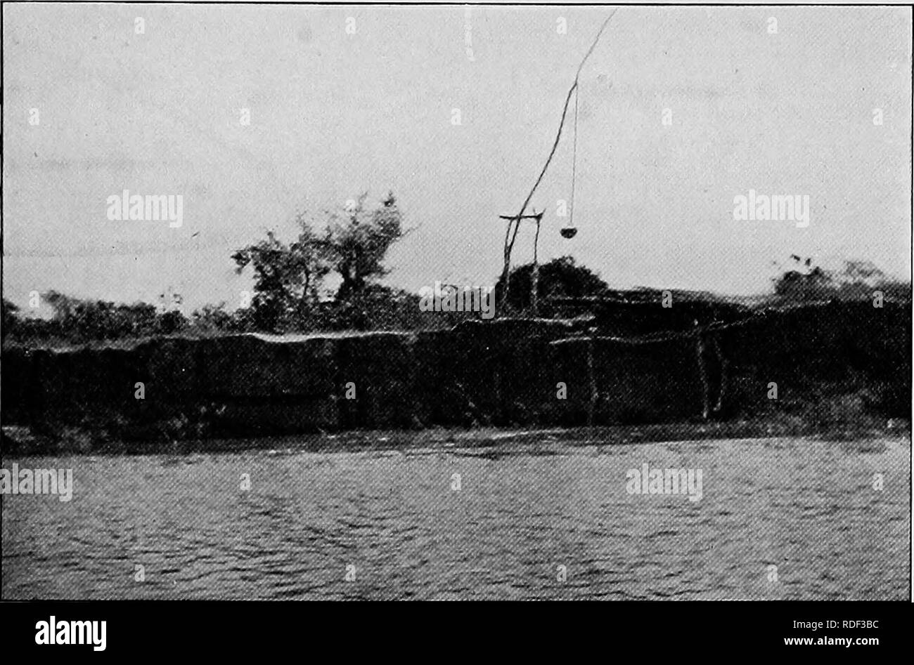 . Du Niger au Nil. Alexander-Gosling ; des oiseaux de l'expédition. Un COMBAT AVEC LE TUBE 3 de nouveau sur le chemin de la guerre. En outre, la caravane de La Mecque était de passage à l'autre du pays, et que cela leur donne toujours une grande opportunité pour piller, ils étaient plane comme. Méthode d'lERIGATION SUR KIVER vautours YO tous le long de la ligne de pèlerins pacifiques et leurs troupeaux. Cette caravane est partie de la grand pèlerinage annuel à La Mecque qui va de tous les districts de l'Afrique. Mahomedan Les pèlerins de l'ouest rendez-vous par voie de Fort Lamy et Fittri à Wadai, et ainsi de suite pour le Darfour pour le Nil, où ils Banque D'Images