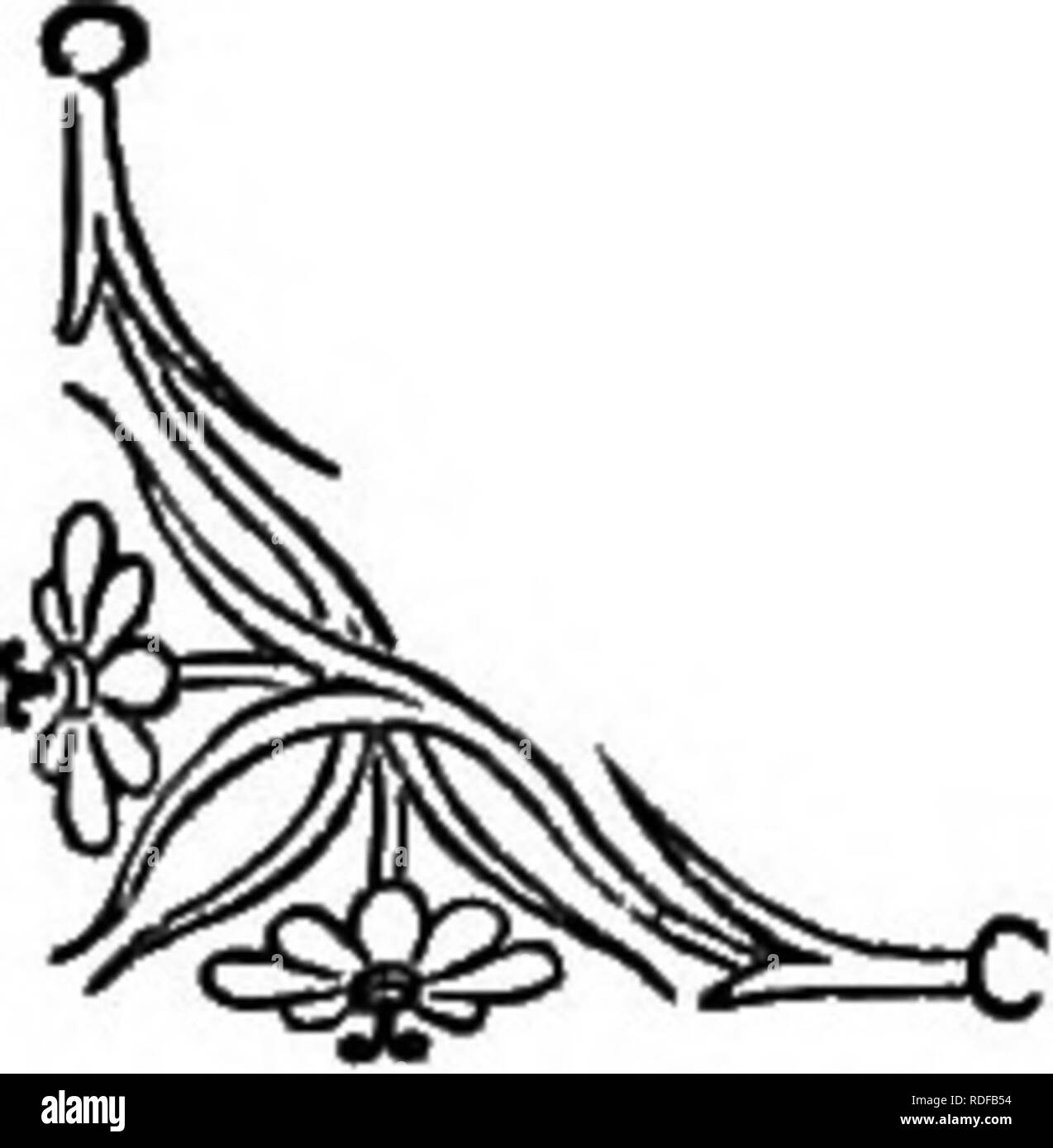 . Le langage des fleurs : ou emblèmes floraux, de pensées, de sentiments, et les sentiments ... Langage des fleurs. Cette plante SENSITIVE. d'expériences, les résultats de ce qui s'est assuré, mais ne semblent pas avoir convaincu les autres. Shelley a écrit quelques versets animée au sujet de la plante, d'où nous avons extrait quelques lignes : "- une plante sensible dans un jardin a grandi, et les jeunes nourris des vents avec de l'argent la rosée, et il a ouvert ses feuilles en éventail à la lumière, et les ferma sous les baisers de nuit. ****** -Les plantes sensibles, ce qui pourrait donner des petits fruits de l'amour qui, à son avis, à partir de la feuille de Banque D'Images