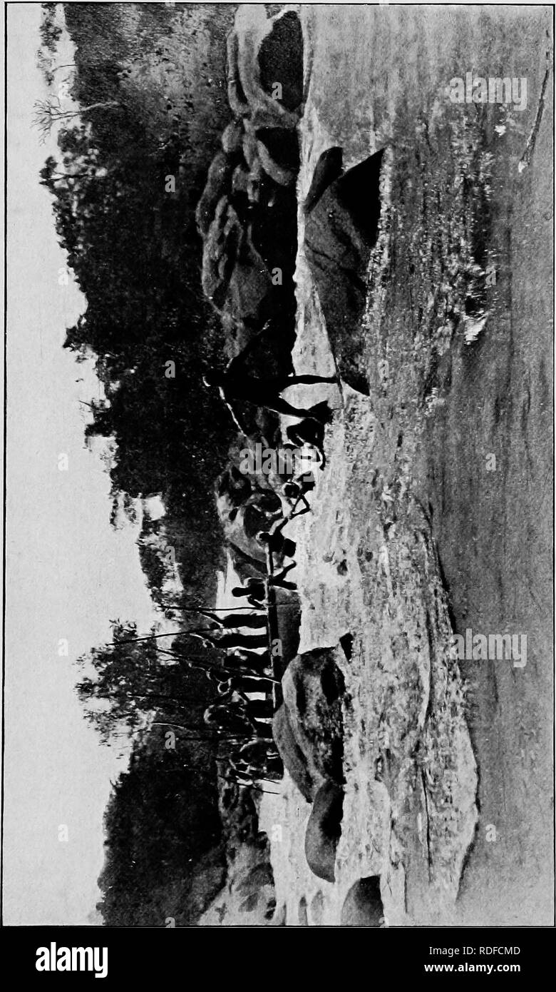 . Du Niger au Nil. Alexander-Gosling ; oiseaux. p &Lt ; O^ m o c o m o H O R : ; J-I CO &Lt ; !. Veuillez noter que ces images sont extraites de la page numérisée des images qui peuvent avoir été retouchées numériquement pour plus de lisibilité - coloration et l'aspect de ces illustrations ne peut pas parfaitement ressembler à l'œuvre originale.. Alexander, Boyd, 1873-1910 ; Talbot, Percy Amaury, 1877-1945. Londres, E. Arnold Banque D'Images