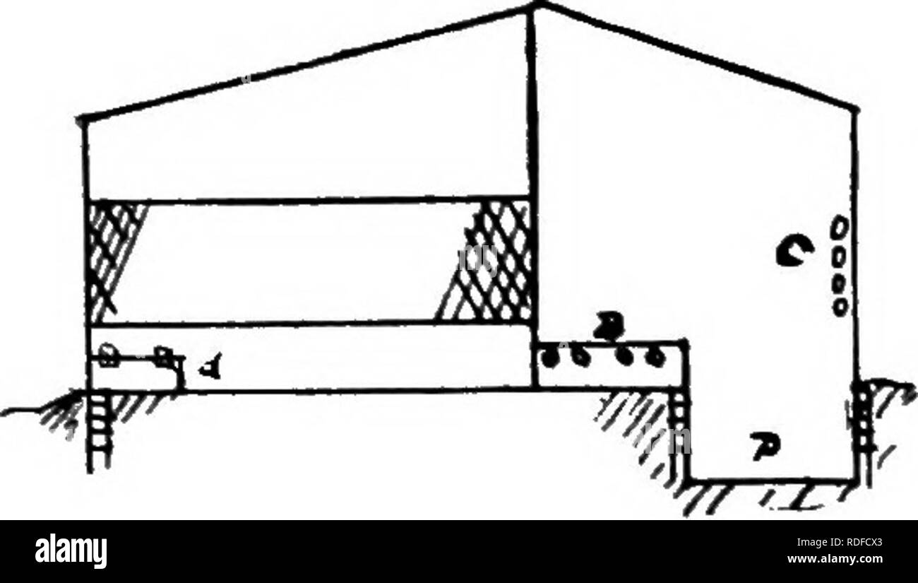. Basse-craft. Un texte-livre aux éleveurs de volailles ... La volaille. UL PO TR r- de l'artisanat. 47. Fig. 31. Section de tuyau long couveuse Maison - sj-stem- seule ligne de stylos. chambre. Fig. 30 présente un plan au sol, et Fig. 31:i cross section, d'une couveuse de style simple chambre très couramment utilisée. Elle est de 13 pi de largeur, et toute la longueur souhaitée. La marche est creusé à une profondeur de est le pouce, donnant ainsi un passage le long du côté nord d'une maison seulement 4i m de hauteur à l'e.ives. La marche est 3J ft. de large ; la couveuse 30 in. de largeur. Chaque stylo est 5 X 7^ ft. Les cloisons entre les têtes est de la sélection, j'ai ft., filet métallique 2 ft Banque D'Images