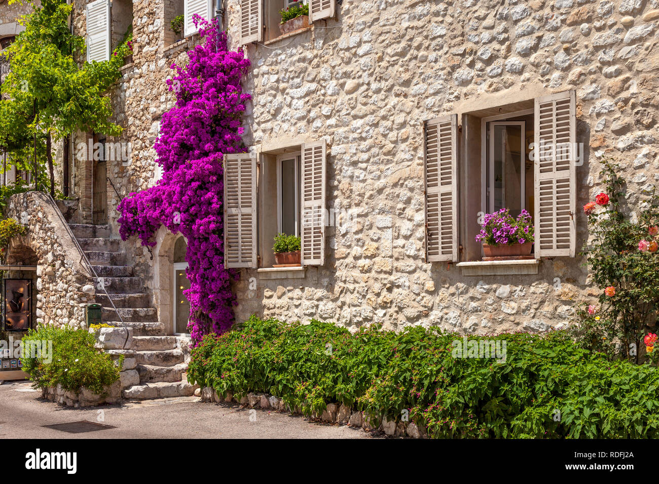 Bougainvilliers en fleurs, escaliers en pierre et l'entrée à la maison médiévale à St Paul de Vence, Provence, France Banque D'Images