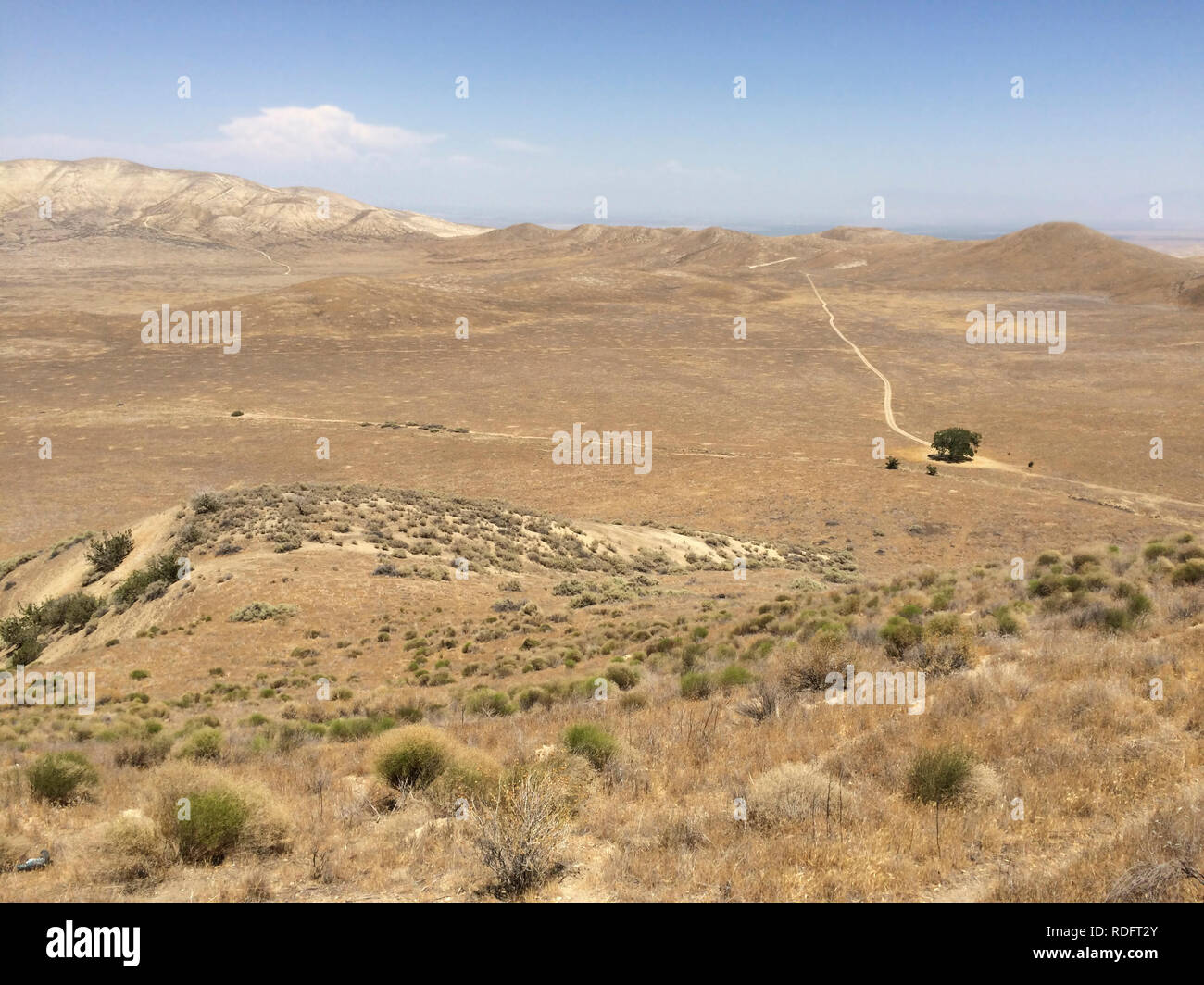 Paysage de Carrizo Plain National Monument - California USA Banque D'Images