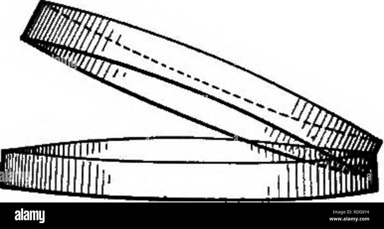 . Les bactéries, levures et moisissures dans la maison. Bactériologie, levures, moisissures (champignons). Fig. 82. Appareil de stérilisation à air chaud.. Fig. 83. Une boîte de Petri pour les cultures de la plaque.. Veuillez noter que ces images sont extraites de la page numérisée des images qui peuvent avoir été retouchées numériquement pour plus de lisibilité - coloration et l'aspect de ces illustrations ne peut pas parfaitement ressembler à l'œuvre originale.. Conn, H. W. (Herbert William), b. 1859. Boston, New York, Ginn et compagnie Banque D'Images